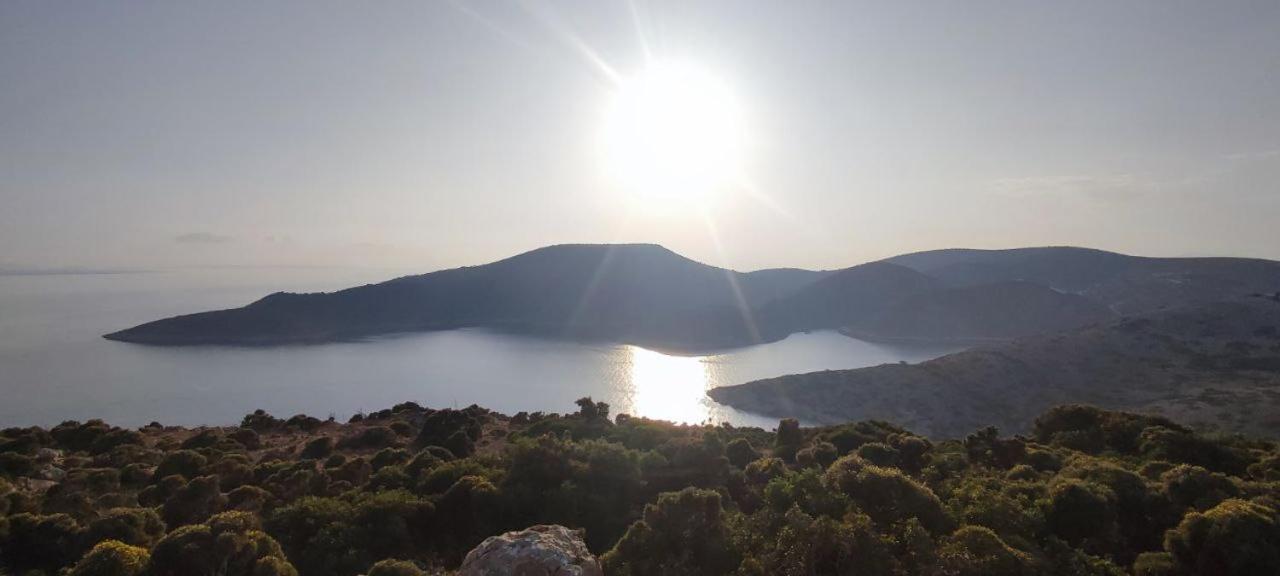 Odysseas *