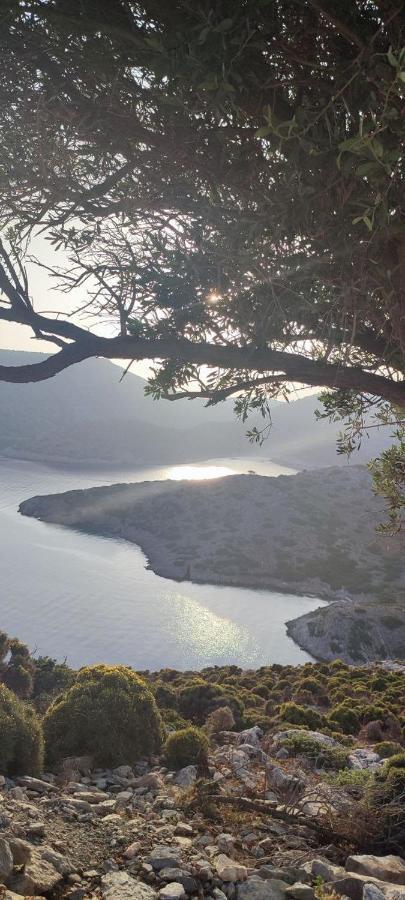 Odysseas * Agathonisi